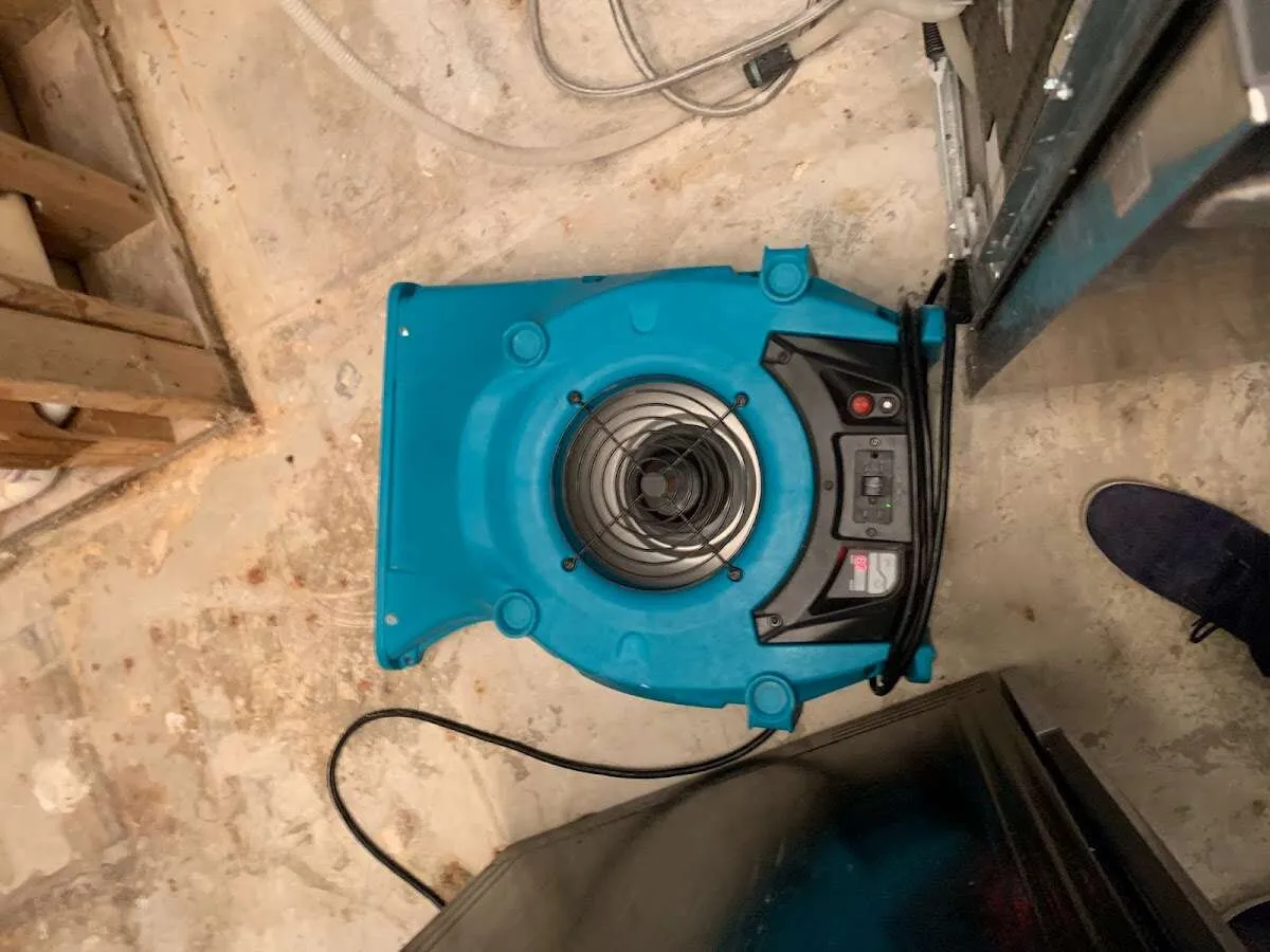 Air mover drying equipment for Mold Remediation & Removal in Westtown